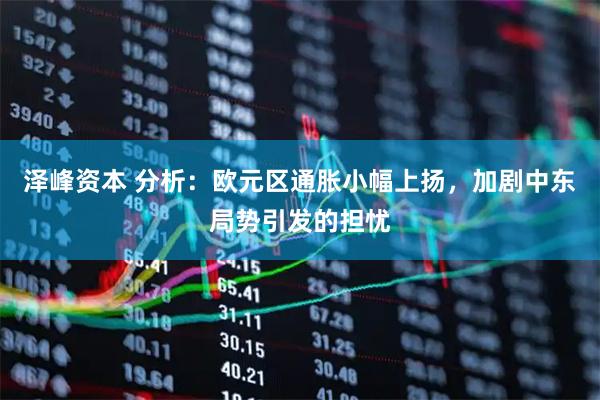 泽峰资本 分析：欧元区通胀小幅上扬，加剧中东局势引发的担忧