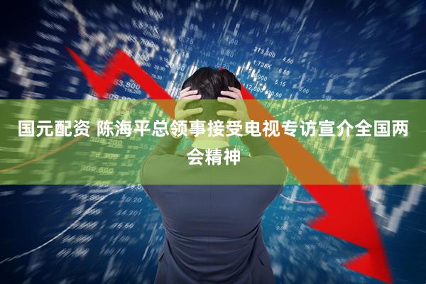 国元配资 陈海平总领事接受电视专访宣介全国两会精神