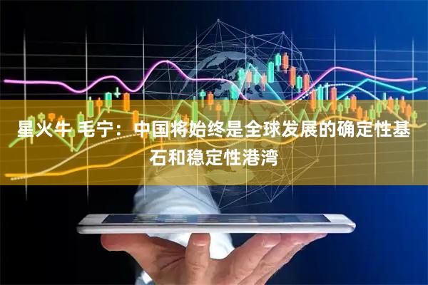 星火牛 毛宁：中国将始终是全球发展的确定性基石和稳定性港湾