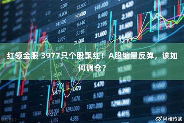 红领金服 3977只个股飘红！A股缩量反弹，该如何调仓？