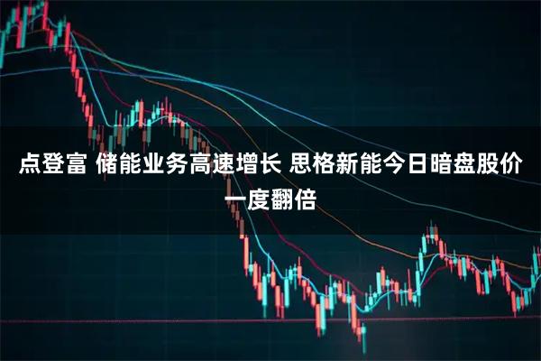 点登富 储能业务高速增长 思格新能今日暗盘股价一度翻倍