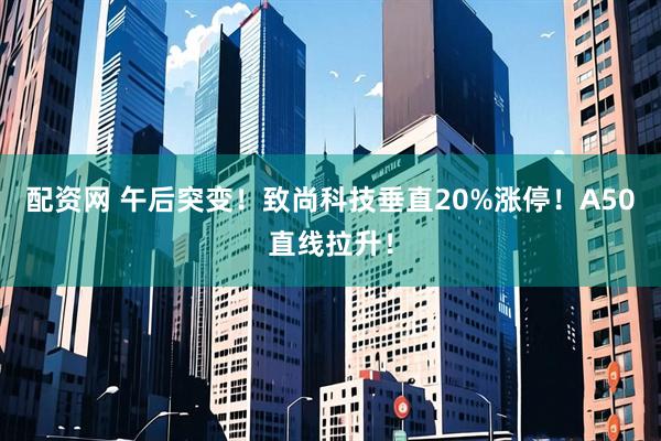 配资网 午后突变！致尚科技垂直20%涨停！A50直线拉升！