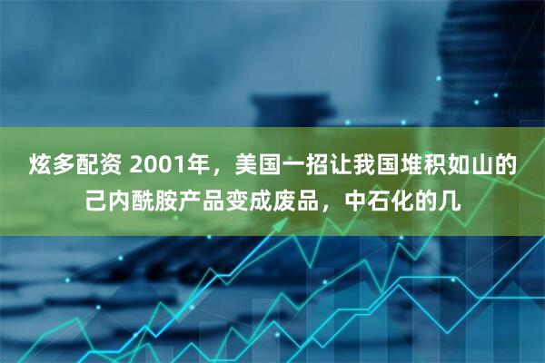 炫多配资 2001年，美国一招让我国堆积如山的己内酰胺产品变成废品，中石化的几