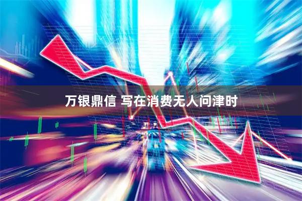 万银鼎信 写在消费无人问津时