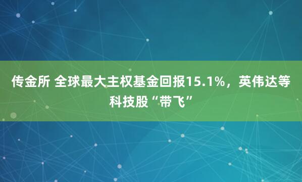 传金所 全球最大主权基金回报15.1%，英伟达等科技股“带飞”