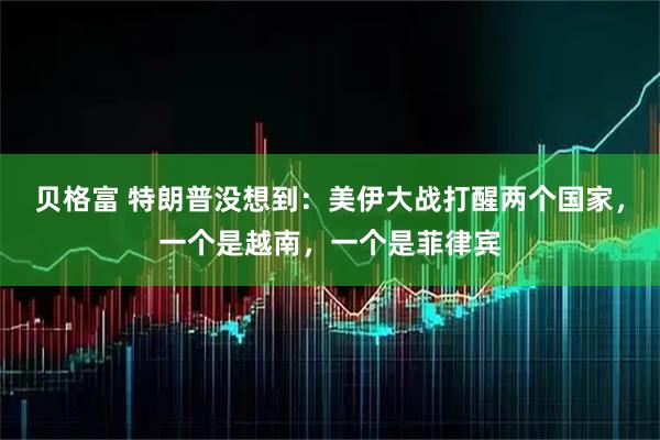 贝格富 特朗普没想到：美伊大战打醒两个国家，一个是越南，一个是菲律宾
