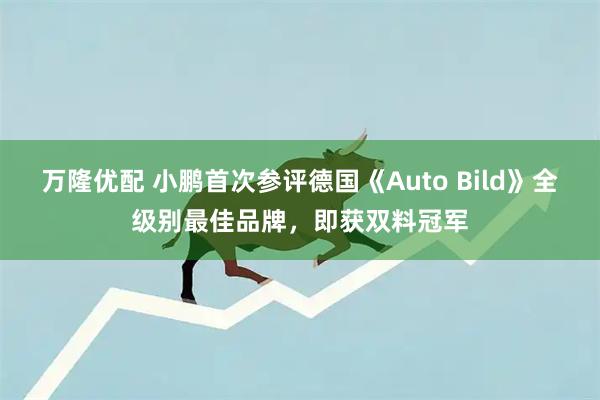 万隆优配 小鹏首次参评德国《Auto Bild》全级别最佳品牌，即获双料冠军