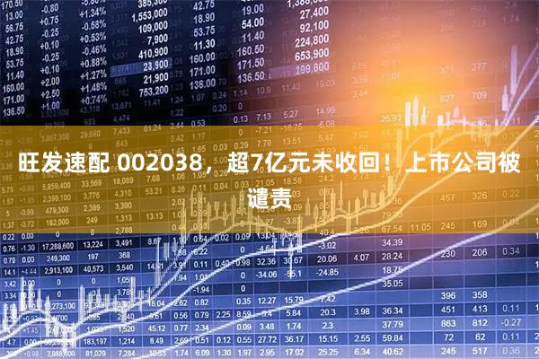 旺发速配 002038，超7亿元未收回！上市公司被谴责