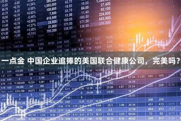 一点金 中国企业追捧的美国联合健康公司，完美吗？