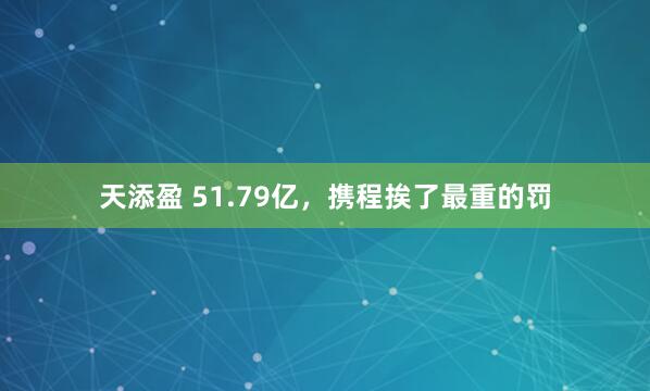 天添盈 51.79亿，携程挨了最重的罚